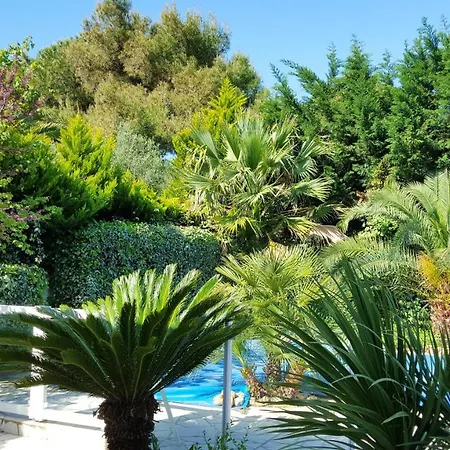 Villa Spacieuse A Avec Piscine Et Jardin. *