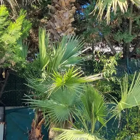 Spacieuse A Avec Piscine Et Jardin. Villa *