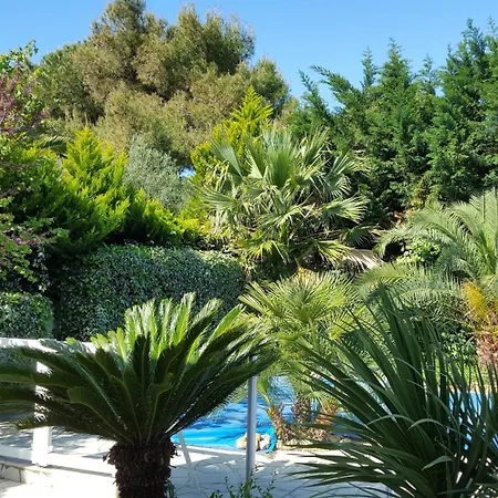 De 4 Avec Piscine Privee Jardin Clos Et Wifi A A 1 Km De La