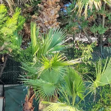 Spacieuse A Avec Piscine Et Jardin. آجد
